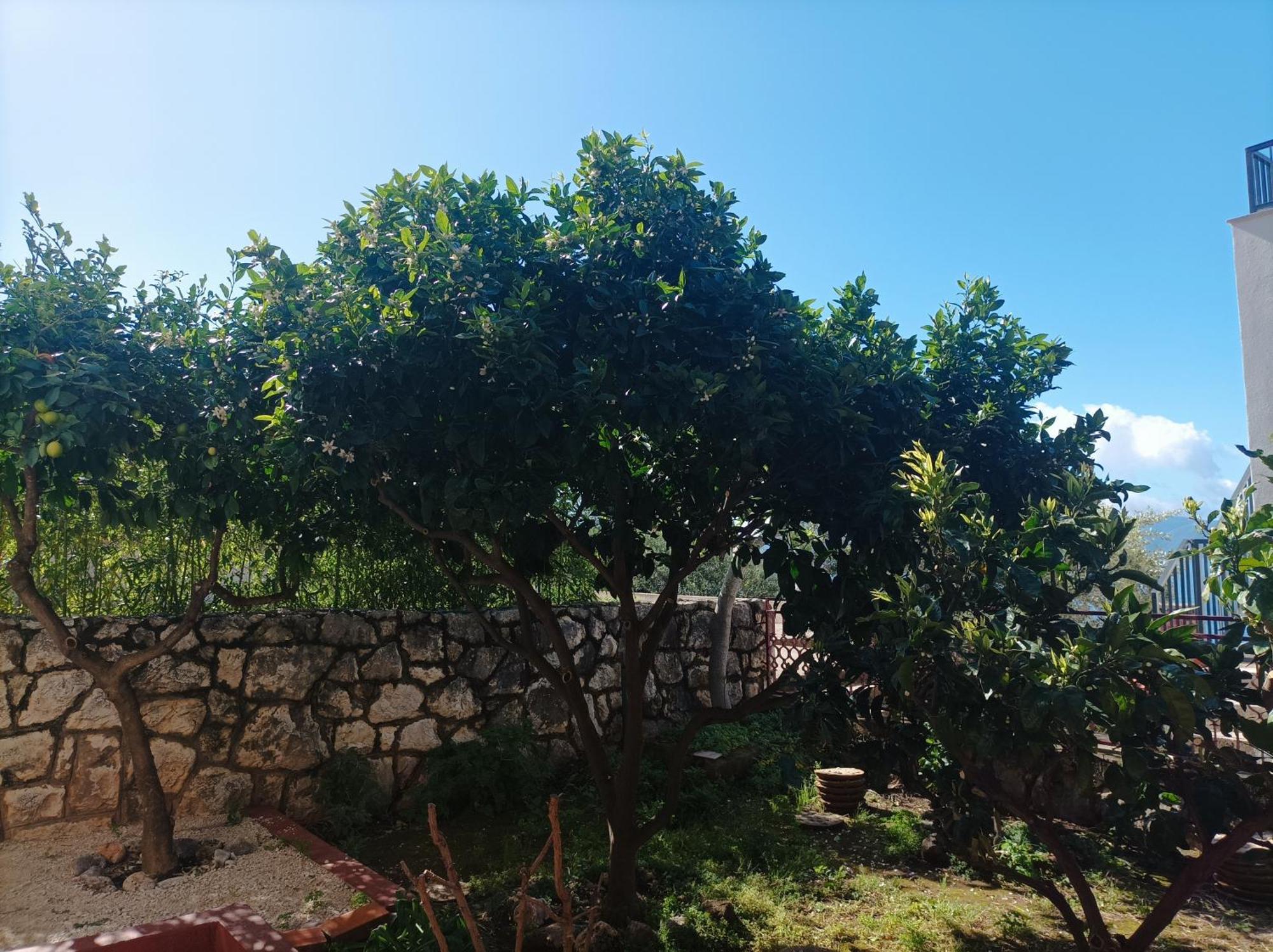 Dva Lava Apartamento Podaca Exterior foto